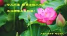 Published on 5/13/2014 ֹ,½󷨵ӹ編ִʦ𻪵(40)

