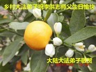 Published on 5/13/2014 ֹ,½󷨵ӹ編ִʦ𻪵(40)

