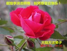 Published on 5/13/2014 ֹ,½󷨵ӹ編ִʦ𻪵(40)
