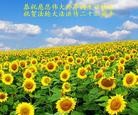 Published on 5/13/2014 ֹ,½󷨵ӹ編ִʦ𻪵(40)
