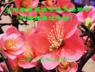 Published on 2/14/2015 ֹ,󷨵ӹףʦ(25)
