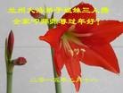 Published on 2/14/2015 ֹ,󷨵ӹףʦ(25)
