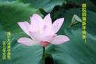 Published on 1/26/2017 ֹ,½󷨵ӹףʦ(26)