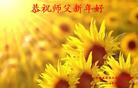 Published on 1/26/2017 ֹ,½󷨵ӹףʦ(26)