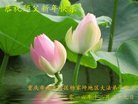 Published on 1/26/2017 ֹ,½󷨵ӹףʦ(26)