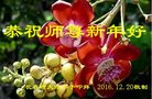 Published on 1/26/2017 ֹ,½󷨵ӹףʦ(26)