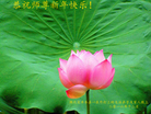 Published on 1/26/2017 ֹ,½󷨵ӹףʦ(26)