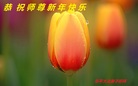 Published on 1/26/2017 ֹ,½󷨵ӹףʦ(26)