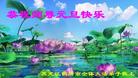 Published on 1/26/2017 ֹ,½󷨵ӹףʦ(26)