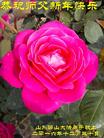 Published on 1/26/2017 ֹ,½󷨵ӹףʦ(26)