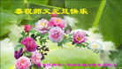 Published on 1/26/2017 ֹ,½󷨵ӹףʦ(26)