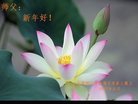 Published on 1/26/2017 ֹ,½󷨵ӹףʦ(26)