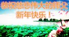 Published on 1/26/2017 ֹ,½󷨵ӹףʦ(26)