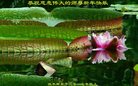 Published on 1/26/2017 ֹ,½󷨵ӹףʦ(26)