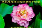Published on 1/26/2017 法轮功,大陆大法弟子恭祝师尊新年好(26条)