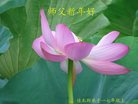 Published on 1/26/2017 ֹ,½󷨵ӹףʦ(26)