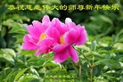 Published on 1/26/2017 ֹ,½󷨵ӹףʦ(26)
