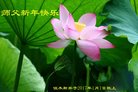 Published on 1/26/2017 ֹ,½󷨵ӹףʦ(26)