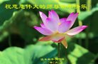 Published on 1/26/2017 法轮功,大陆大法弟子恭祝师尊新年好(26条)