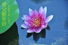 Published on 1/26/2017 ֹ,½󷨵ӹףʦ(26)