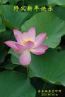 Published on 1/26/2017 ֹ,½󷨵ӹףʦ(26)