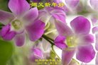Published on 1/26/2017 ֹ,½󷨵ӹףʦ(26)