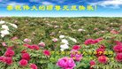 Published on 1/26/2017 ֹ,½󷨵ӹףʦ(26)