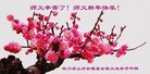Published on 1/26/2017 法轮功,大陆大法弟子恭祝师尊新年好(26条)