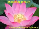 Published on 1/26/2017 ֹ,½󷨵ӹףʦ(26)