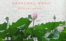 Published on 1/26/2017 ֹ,½󷨵ӹףʦ(26)