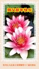 Published on 1/26/2017 法轮功,大陆大法弟子恭祝师尊新年好(26条)