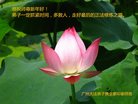 Published on 1/26/2017 ֹ,½󷨵ӹףʦ(26)