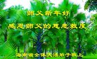 Published on 1/26/2017 ֹ,½󷨵ӹףʦ(26)