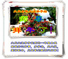 Published on 1/26/2017 ֹ,½󷨵ӹףʦ(26)