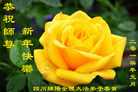 Published on 1/26/2017 ֹ,½󷨵ӹףʦ(26)