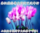 Published on 1/26/2017 ֹ,½󷨵ӹףʦ(26)