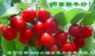 Published on 1/26/2017 ֹ,½󷨵ӹףʦ(26)