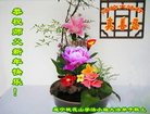 Published on 1/26/2017 ֹ,½󷨵ӹףʦ(26)