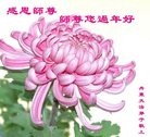 Published on 1/26/2017 ֹ,½󷨵ӹףʦ(26)