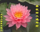 Published on 1/26/2017 ֹ,½󷨵ӹףʦ(26)