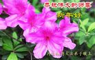 Published on 1/26/2017 ֹ,½󷨵ӹףʦ(26)
