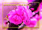 Published on 1/26/2017 ֹ,½󷨵ӹףʦ(26)