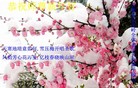 Published on 1/26/2017 ֹ,½󷨵ӹףʦ(26)