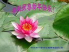 Published on 1/26/2017 ֹ,½󷨵ӹףʦ(26)