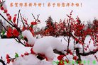 Published on 1/26/2017 ֹ,½󷨵ӹףʦ(26)