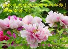 Published on 1/26/2017 ֹ,½󷨵ӹףʦ(26)