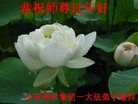 Published on 1/26/2017 ֹ,½󷨵ӹףʦ(26)
