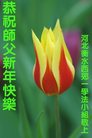 Published on 1/26/2017 ֹ,½󷨵ӹףʦ(26)