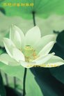 Published on 1/26/2017 ֹ,½󷨵ӹףʦ(26)