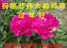 Published on 1/26/2017 ֹ,½󷨵ӹףʦ(26)